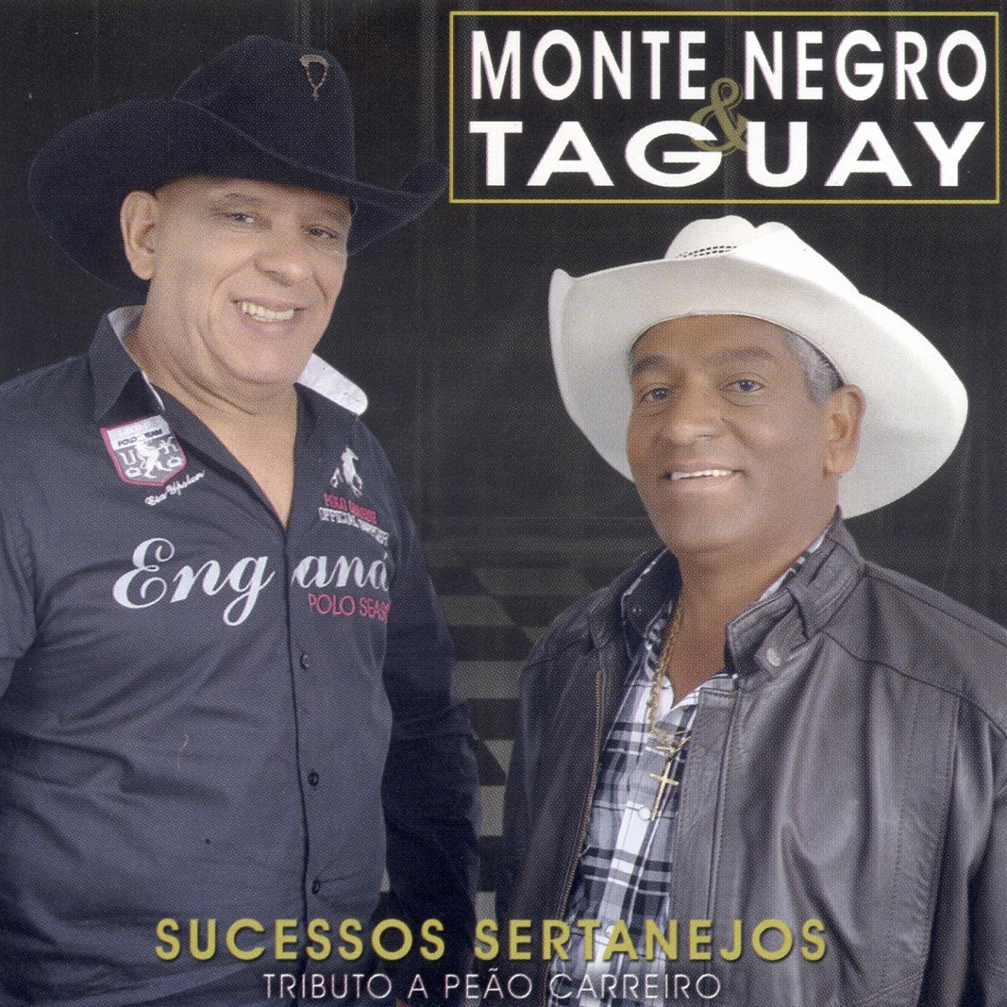 Sucessos Sertanejos