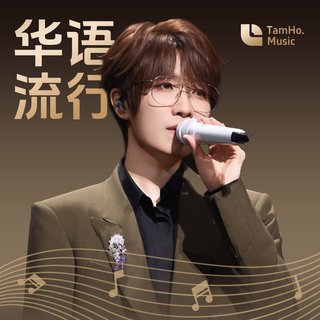 华语经典 | 那些属于我们青春的一首歌曲