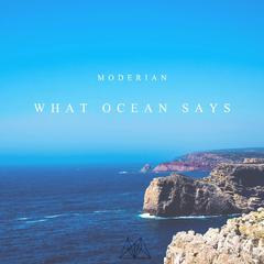 What Ocean Says