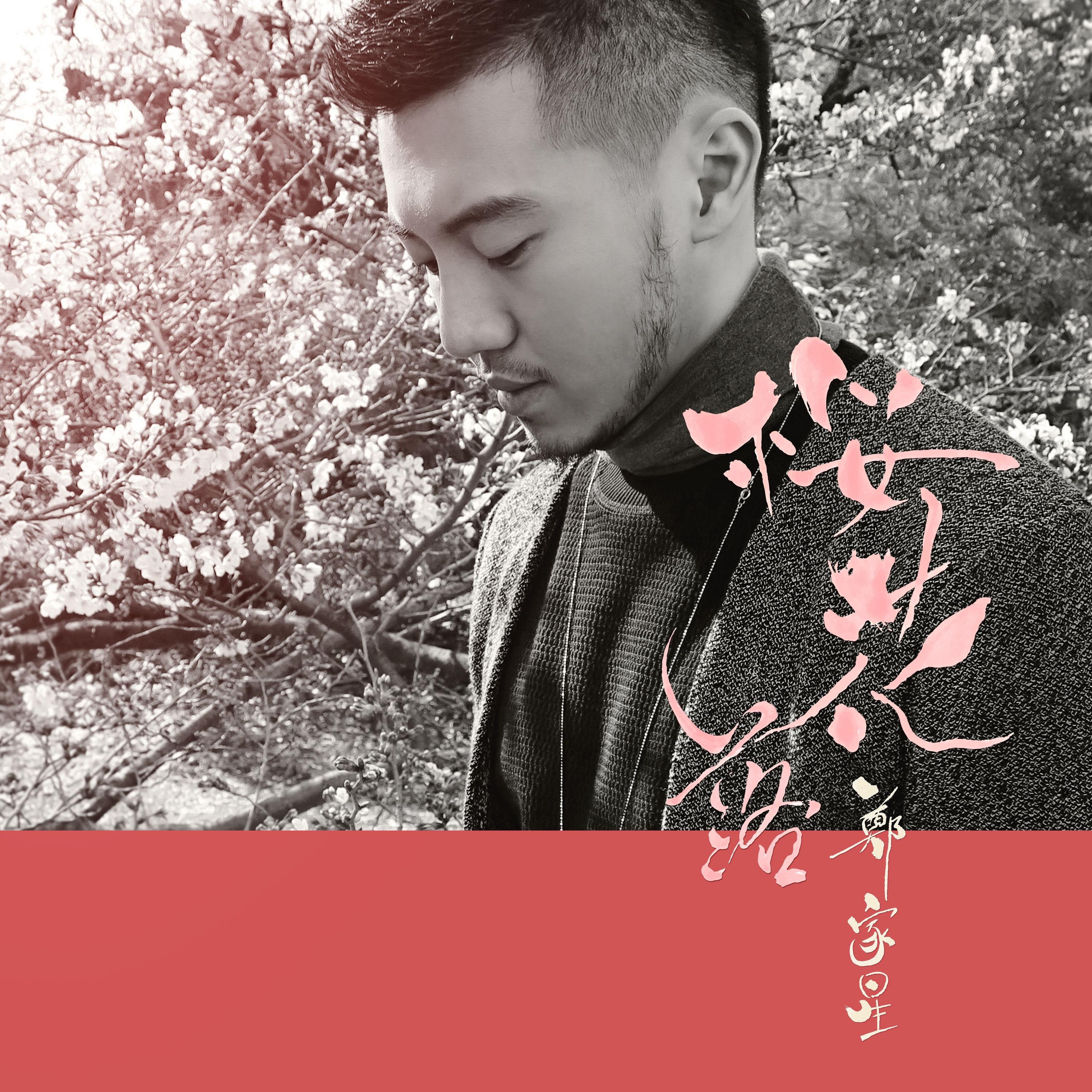 樱花落