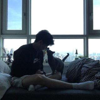 「听说，你喂的猫跟了我」