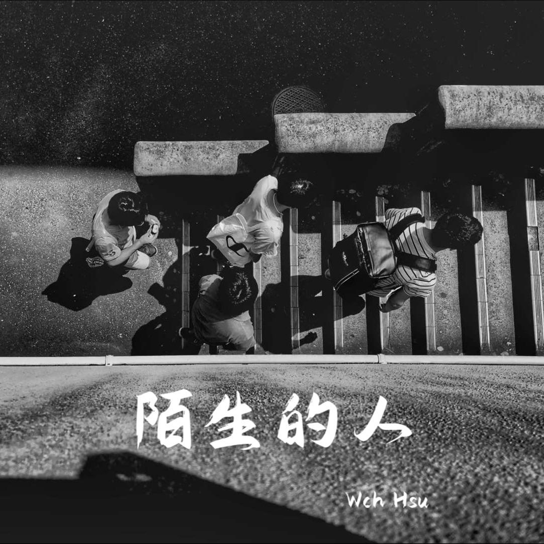 Wch Hsu - 言外之意