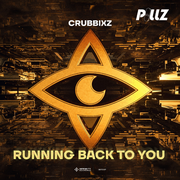 Running Back To You (Original Mix)