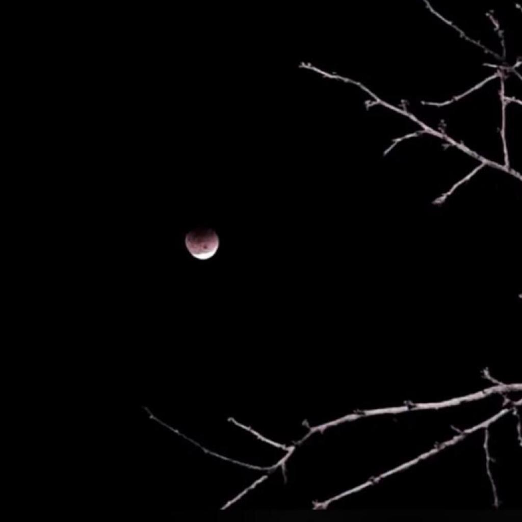 一起听鬼故事一起看星星～
