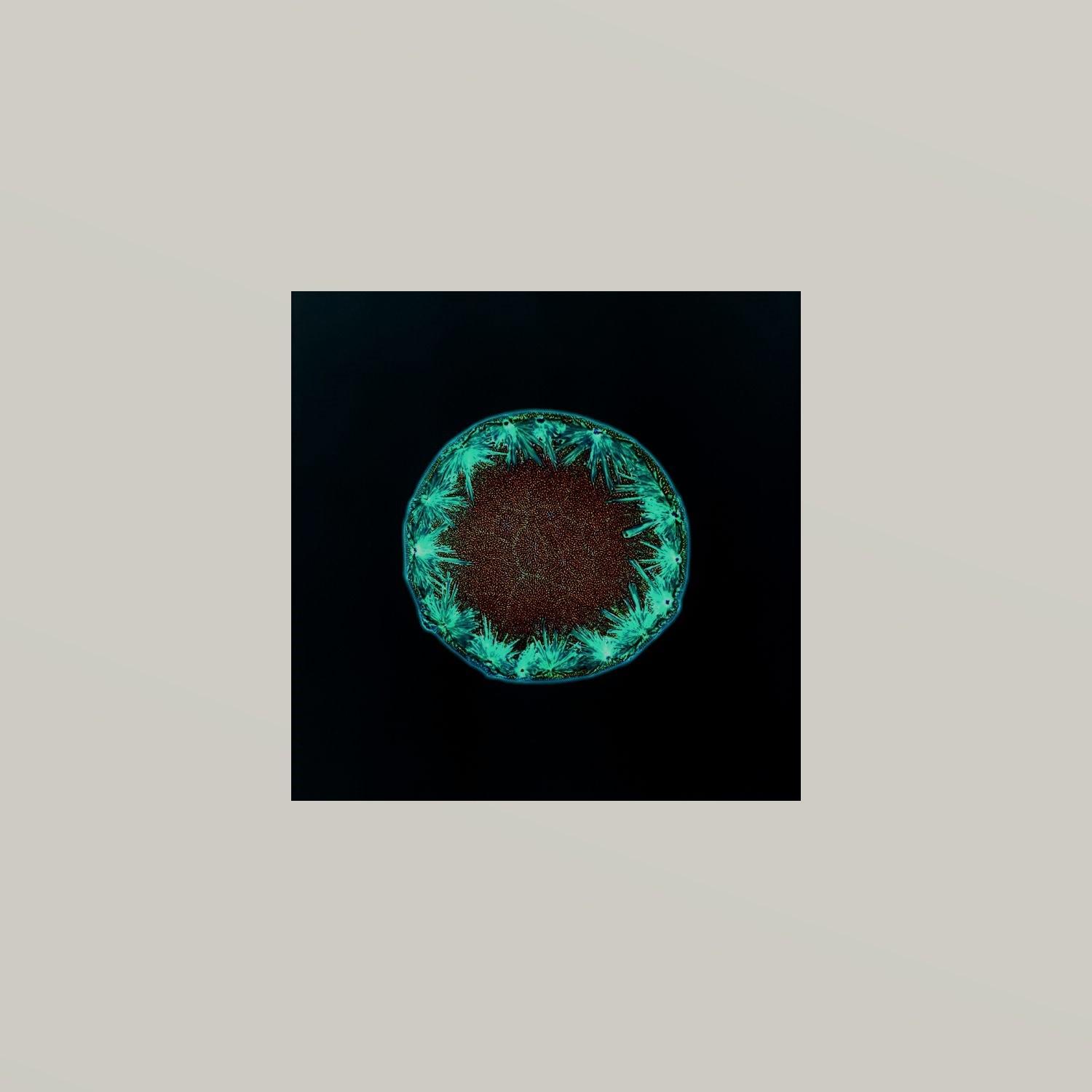 Techno Popped
