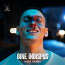 Bine Indispus (Wise Remix)