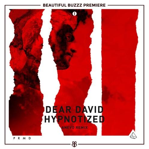 Hypnotized (Remixes)