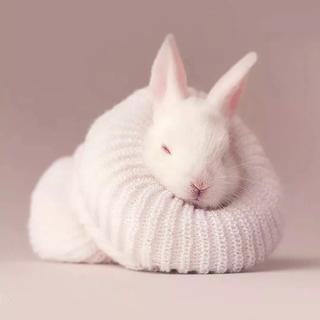 我想和你在一起（超甜）