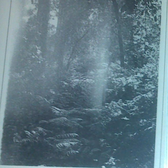 Behind The Aesthetic Form Lies The Repressed Harmony Of Sensuousness And Reason