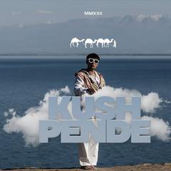 KUSH PENDE