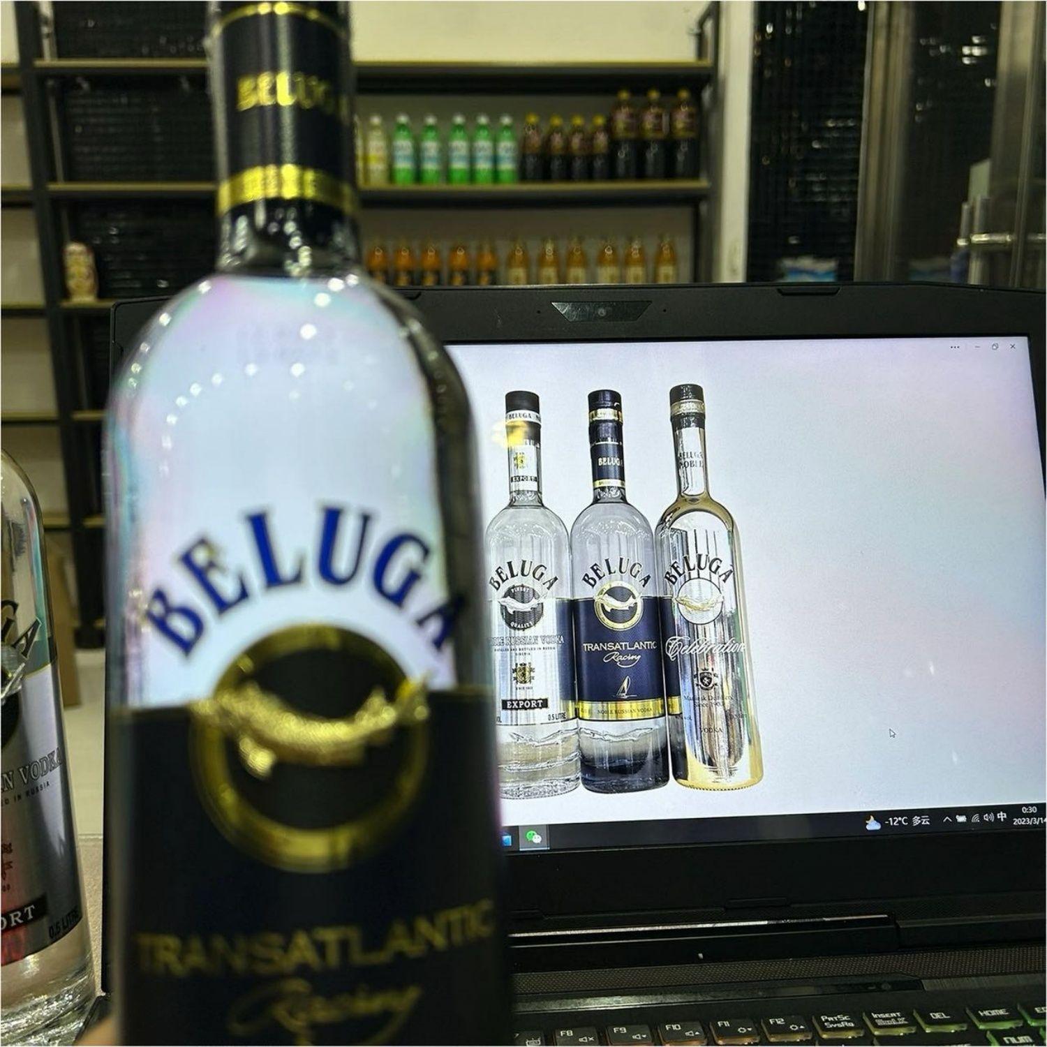 BELUGA