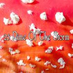 25 Rime Of The Storm专辑