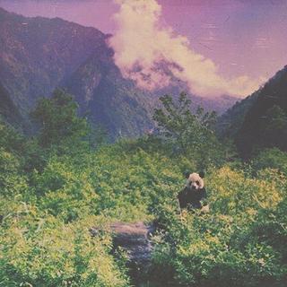 纯情小主播的BGM