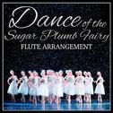 Dance of the Sugar Plum Fairy专辑