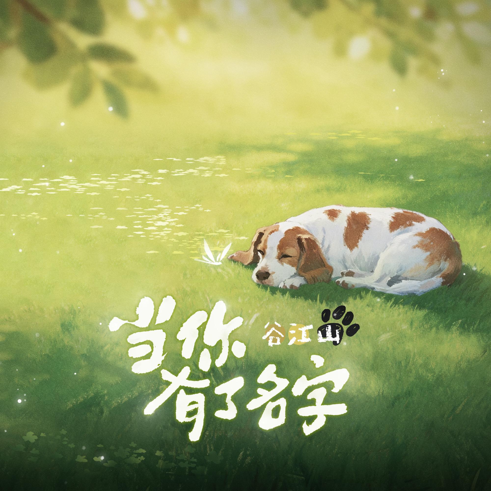 当你有了名字