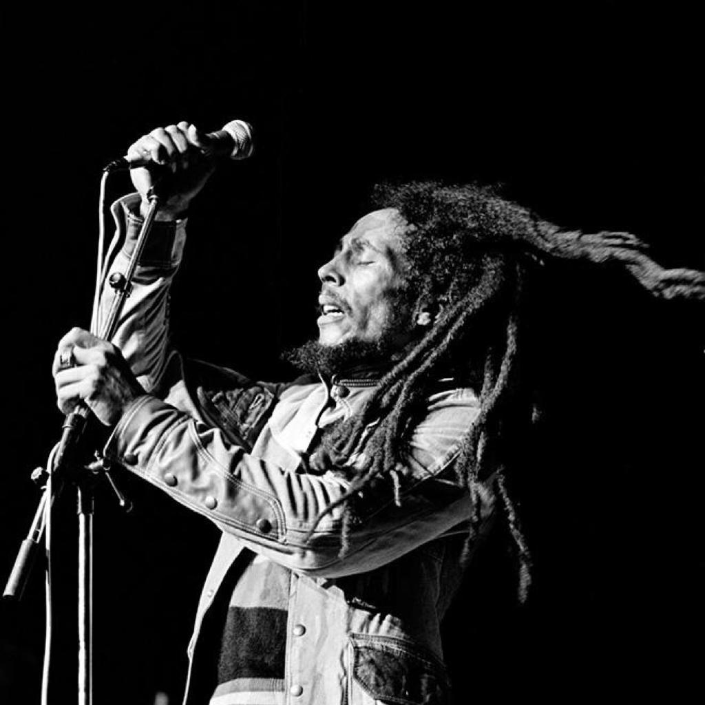 Groove，Reggae，Dub
