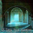 45 Grow Your Harmony专辑