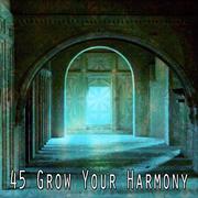 45 Grow Your Harmony