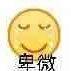 追星女孩的真情实感
