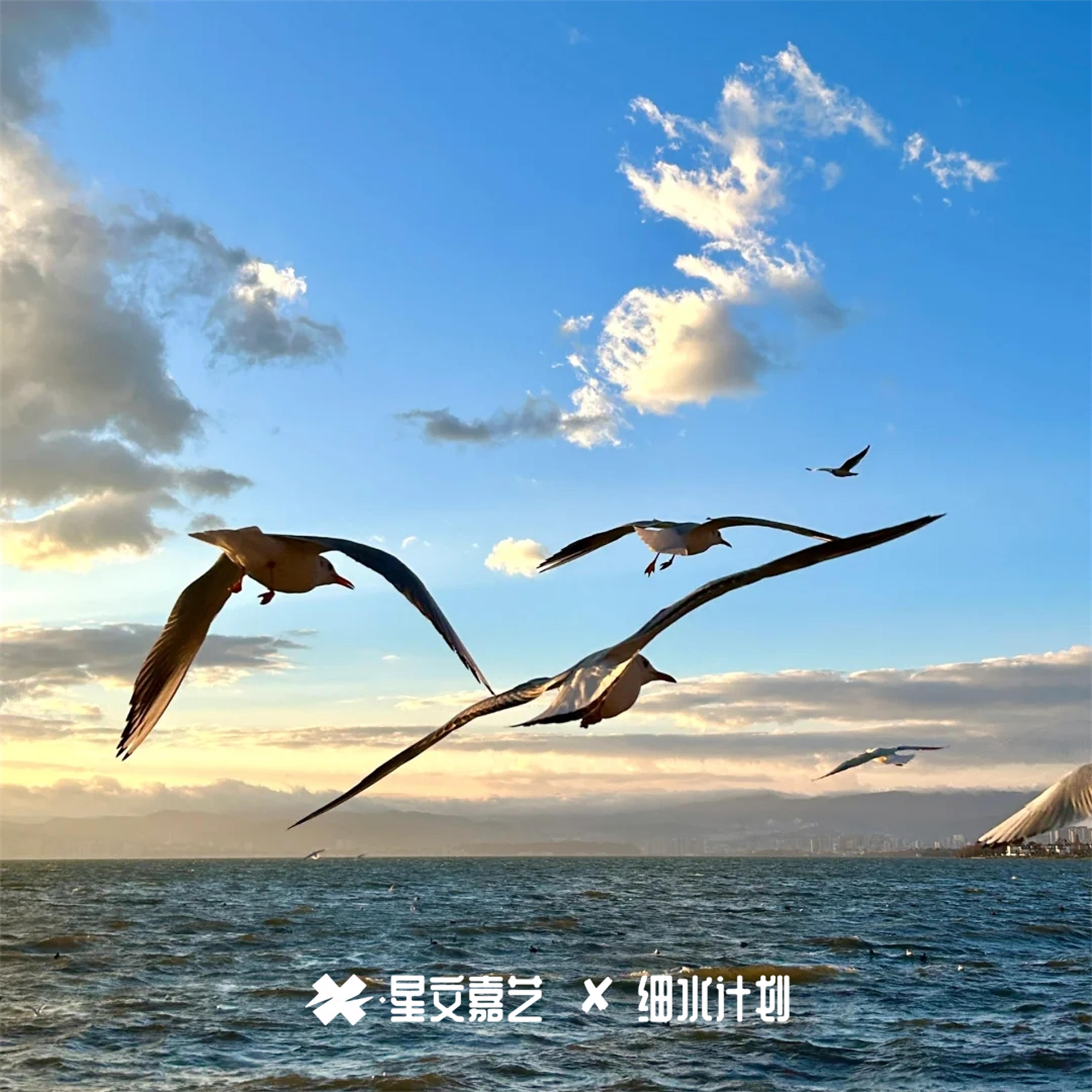太空漫步迷幻系列