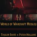 World of Warcraft Medley专辑