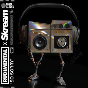 Rudimental & Skream - So Sorry (Instrumental) 原版无和声伴奏