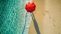 The Sea of Love专辑