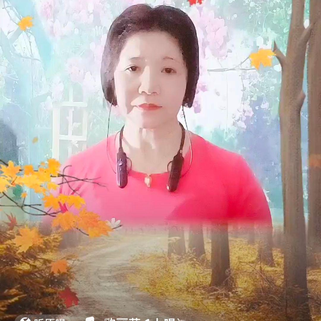 有人呼唤我专辑