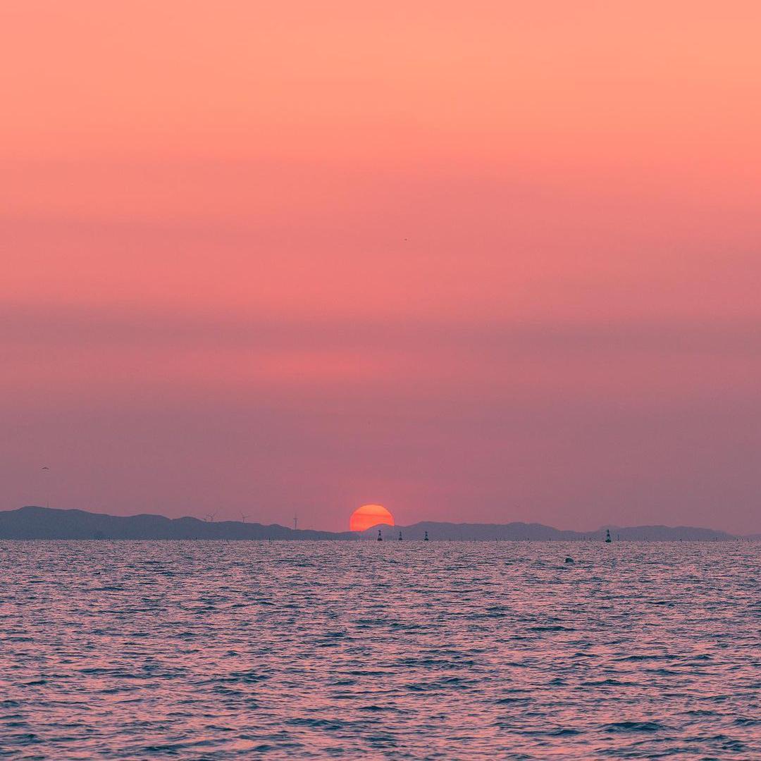 追寻你（万物复苏版）