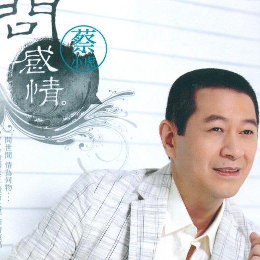 经典闽南语歌曲