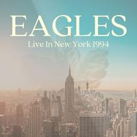 Eagles - Saturday Night (karaoke)