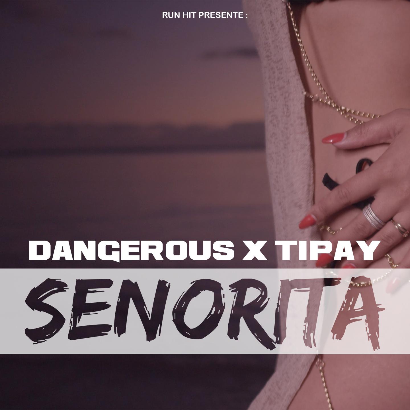 Dangerous - Senorita (Edit)