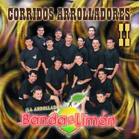 Regreso El Sinaloense - La Arrolladora Banda El Limon