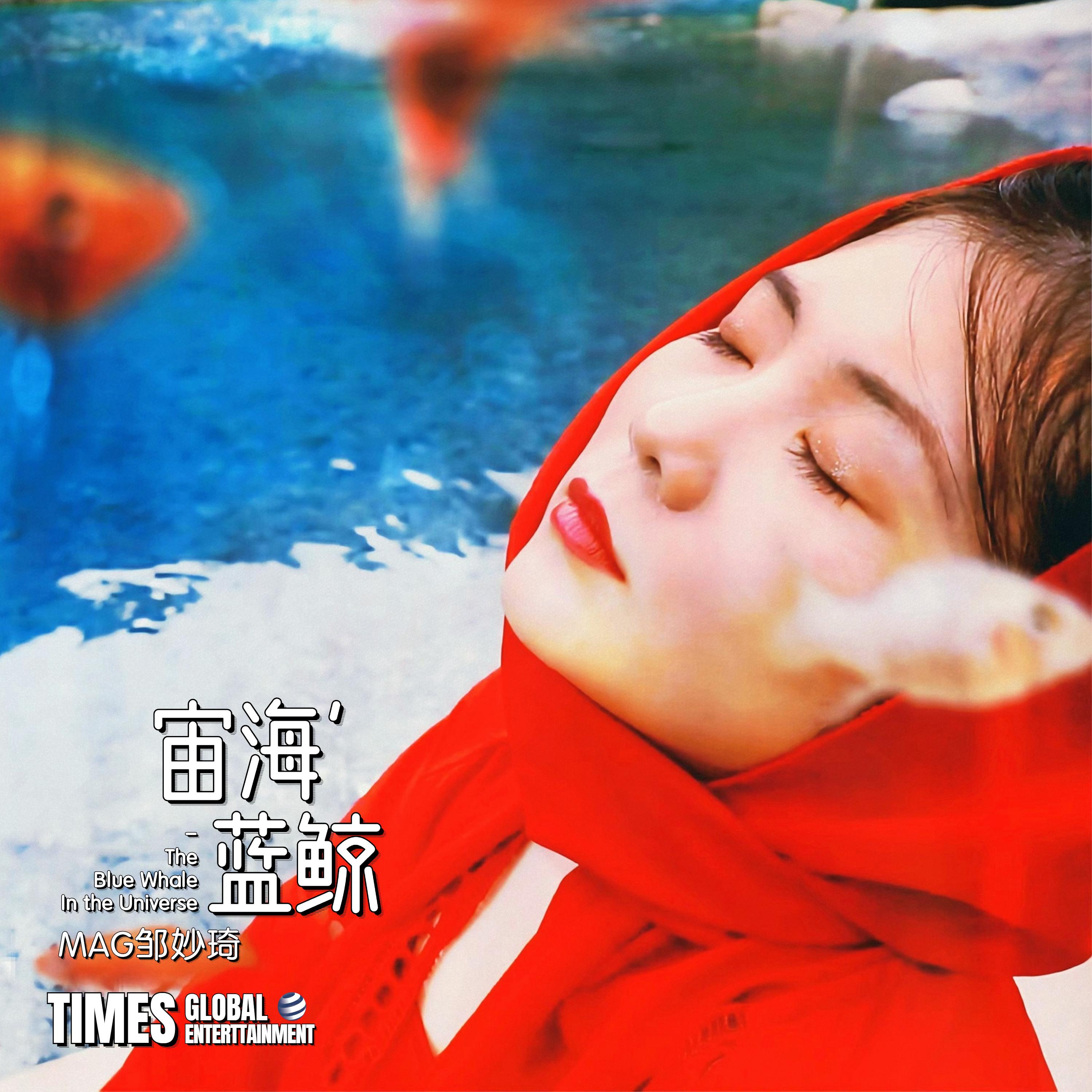 宙海蓝鲸