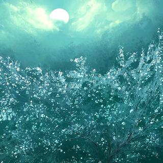 B站ISS直播专用歌单2，房间号：14047