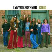 Simple Man - Lynyrd Skynyrd (karaoke)