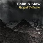 #20 Calm & Slow Rainfall Collection for Relaxation专辑