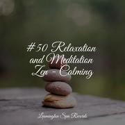 #50 Relaxation and Meditation Zen - Calming