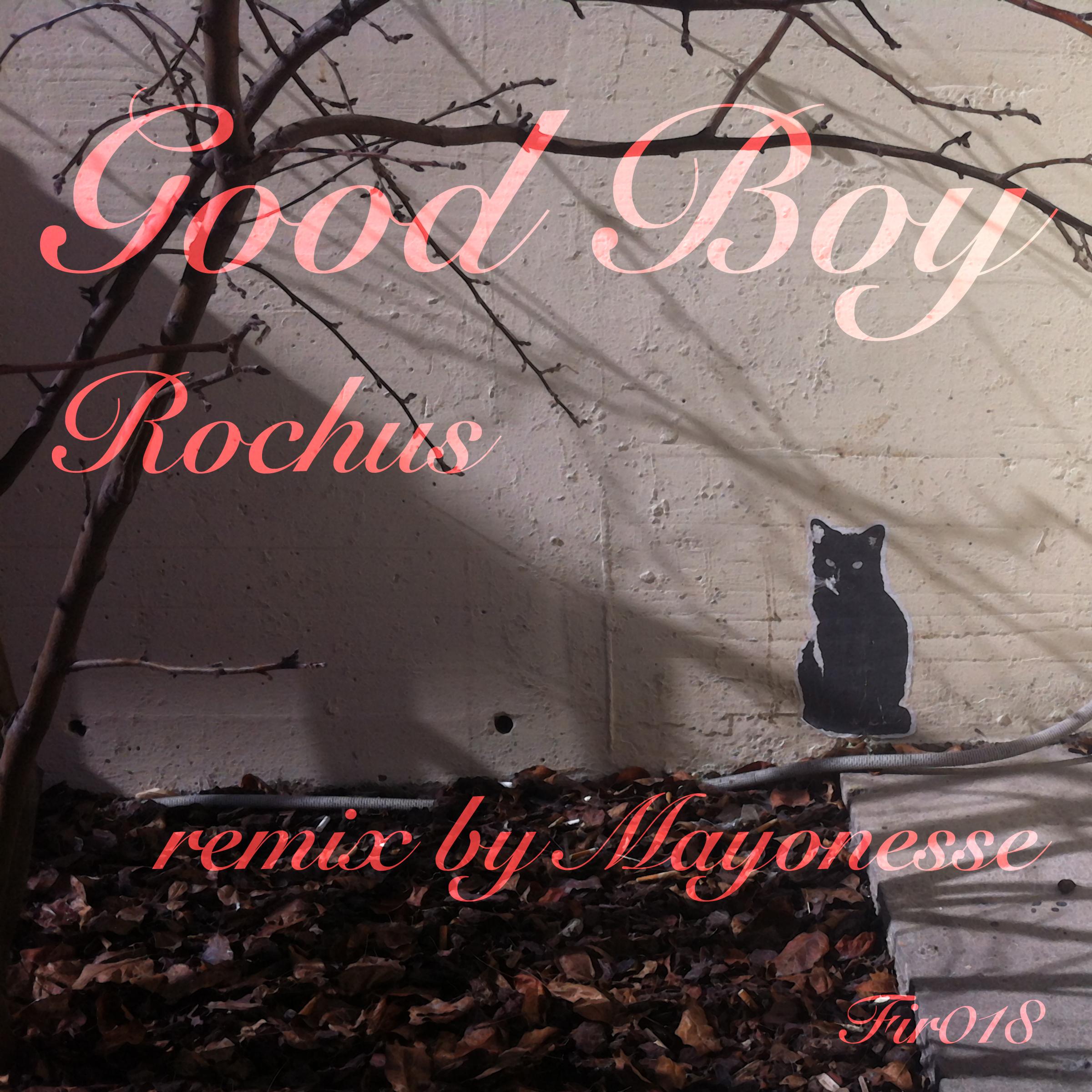 Good Boy