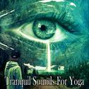 Tranquil Sounds For Yoga专辑