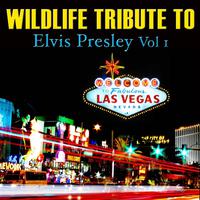 Elvis Presley - I m Leaving ( Karaoke )