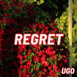 regret.