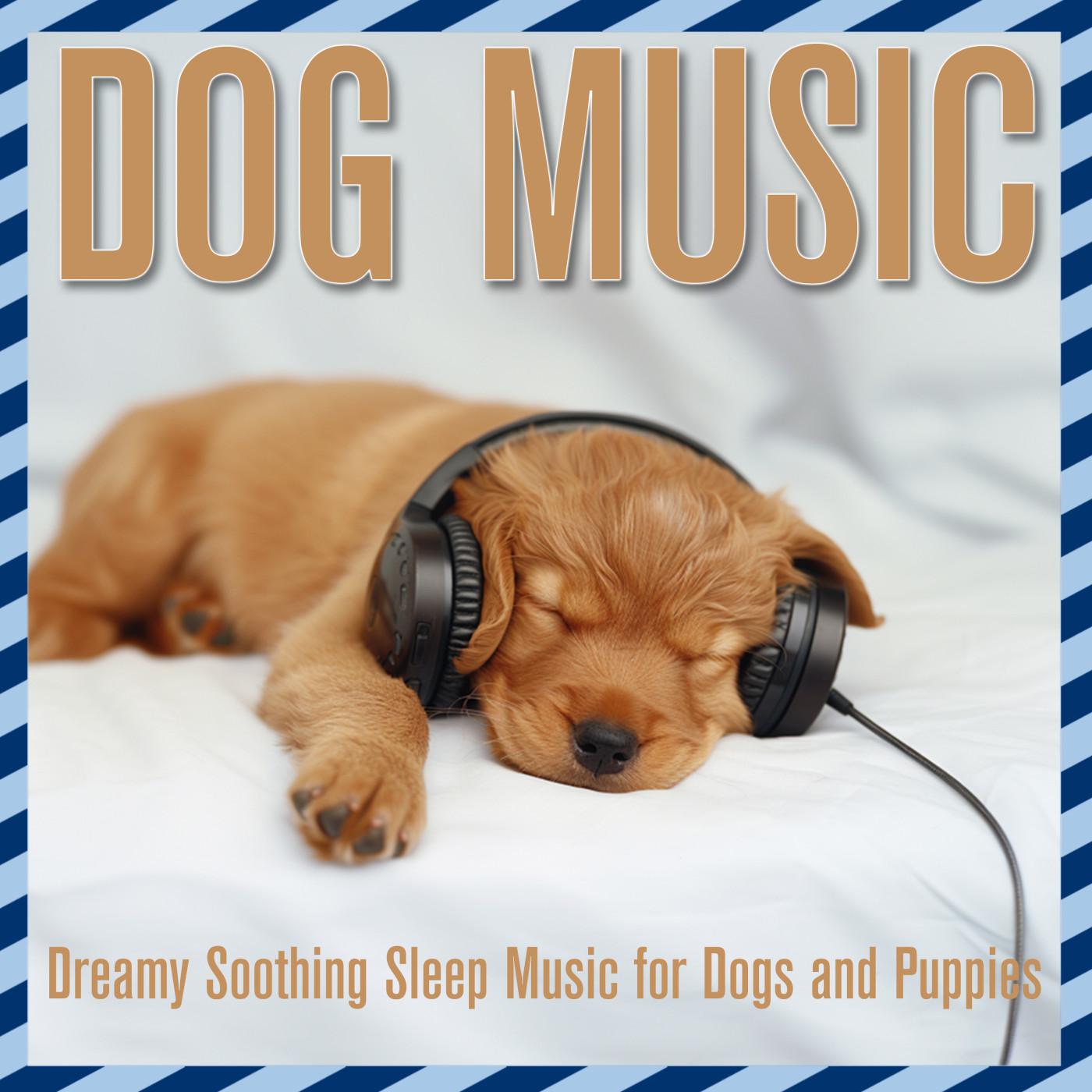 Dog Music Dreams - Tones
