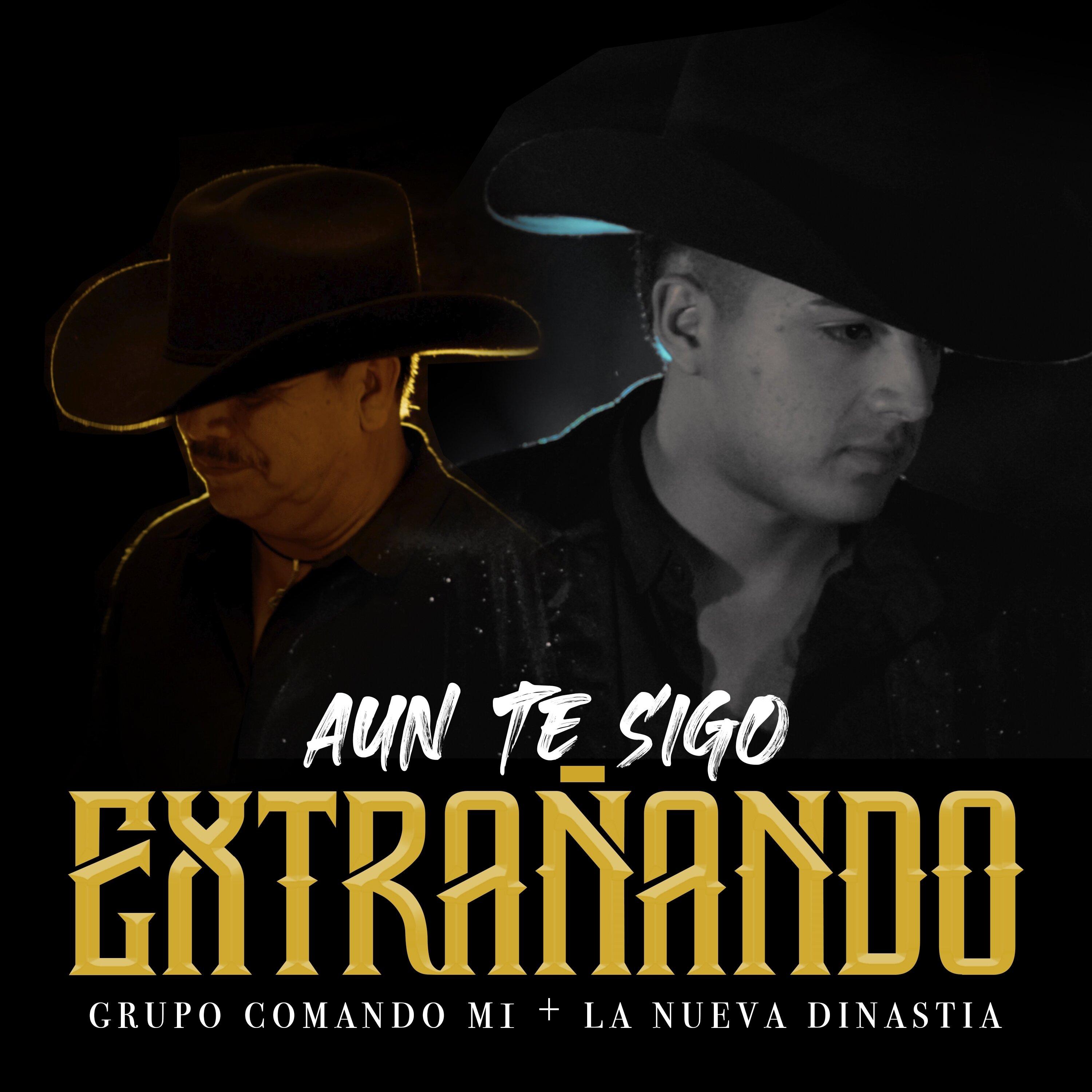 Aun Te Sigo Extrañando - Grupo Comando M1/La Nueva Dinastía - 单曲 - 网易云音乐
