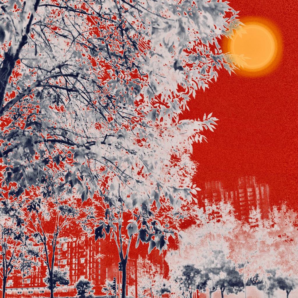 Welcome to Utopia II