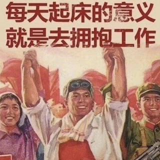 工作每天都会伤害我，但我学会了以德报怨