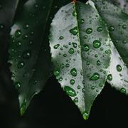 下完这场雨