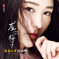 别拿我的红包当游戏-降调版(带rap)