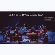 4.别再说(Unplugged Live)