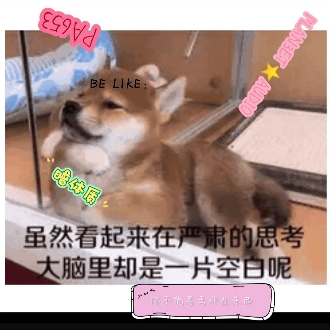 你不能思考那些东西